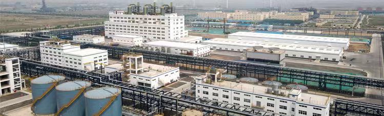 亚星手机版登录